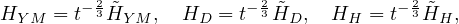        - 2             - 2           - 2
HYM  = t 3 ˜HYM , HD = t  3H ˜D,  HH  = t 3 ˜HH,
